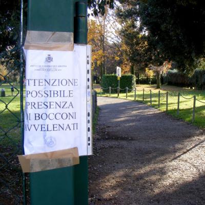 Bassanonet.it Bocconi avvelenati nel parco 