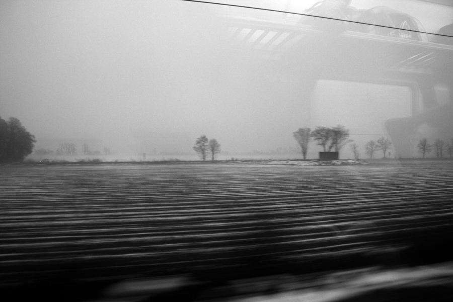Viaggi diversi