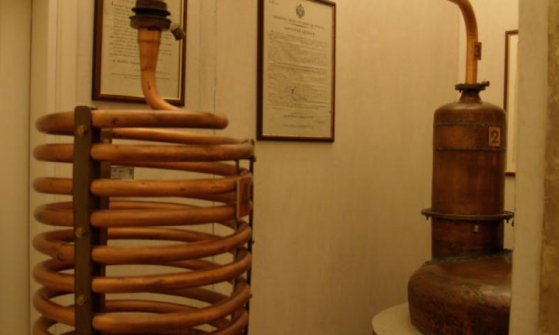 Bassanonet.it - Serpentina con caldaia