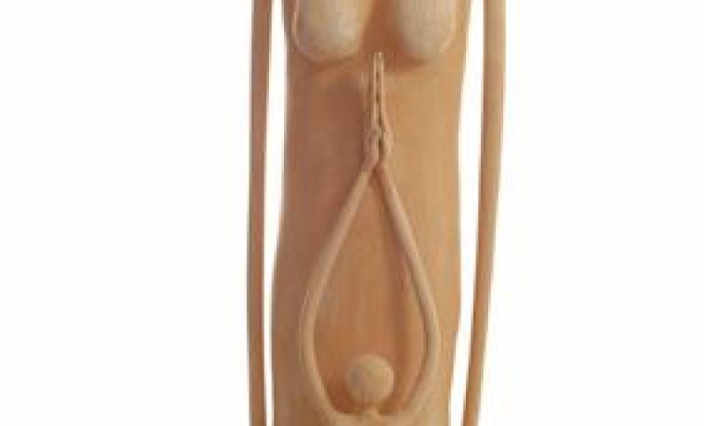 Bassanonet.it - linea79