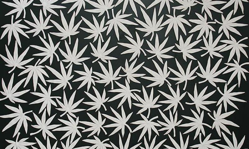 Bassanonet.it - Sexinibitionism 2007