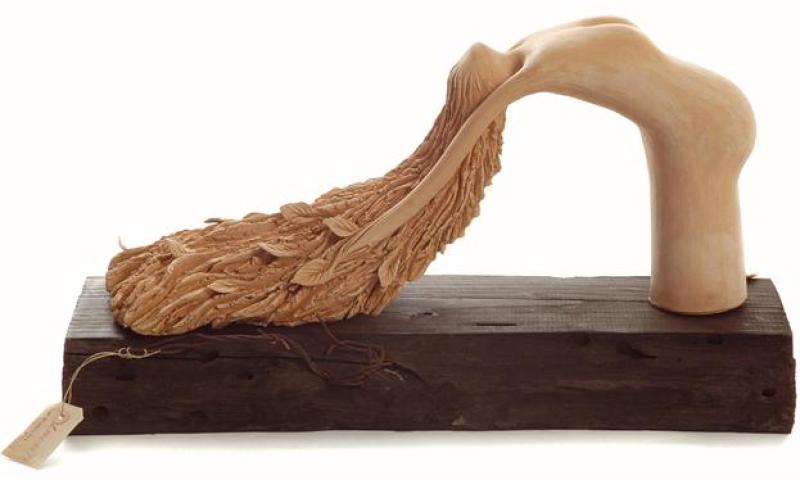 Bassanonet.it - linea79