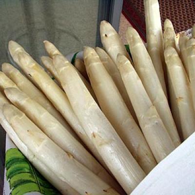 Bassanonet.it Asparago di Bassano, re di primavera