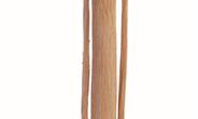 Bassanonet.it - linea79