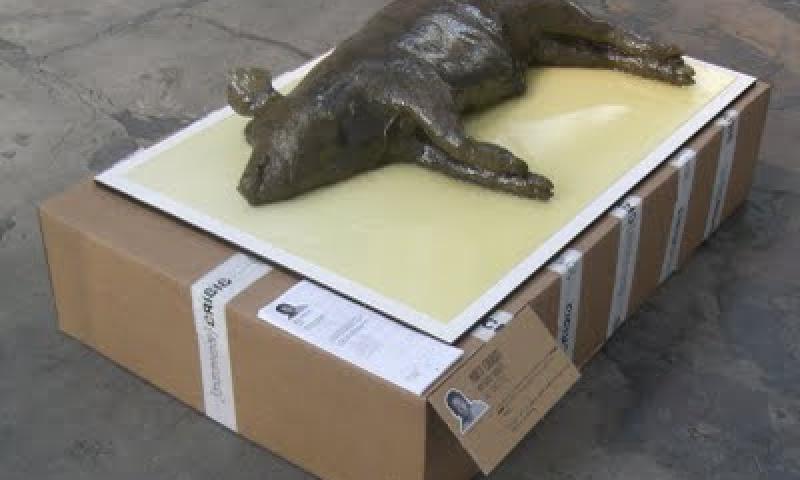 Bassanonet.it - Sus Domesticus_Crisis