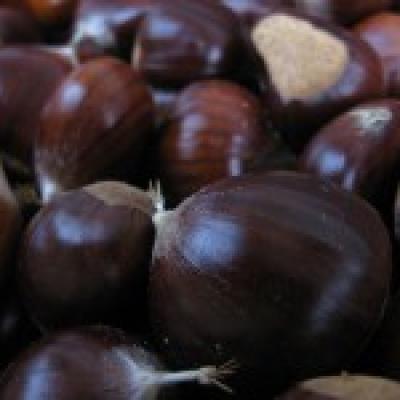 Bassanonet.it Maroni di Valrovina, caldo sapore invernale