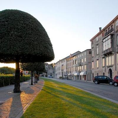 Bassanonet.it Viale dei Martiri: il ricordo dei partigiani uccisi