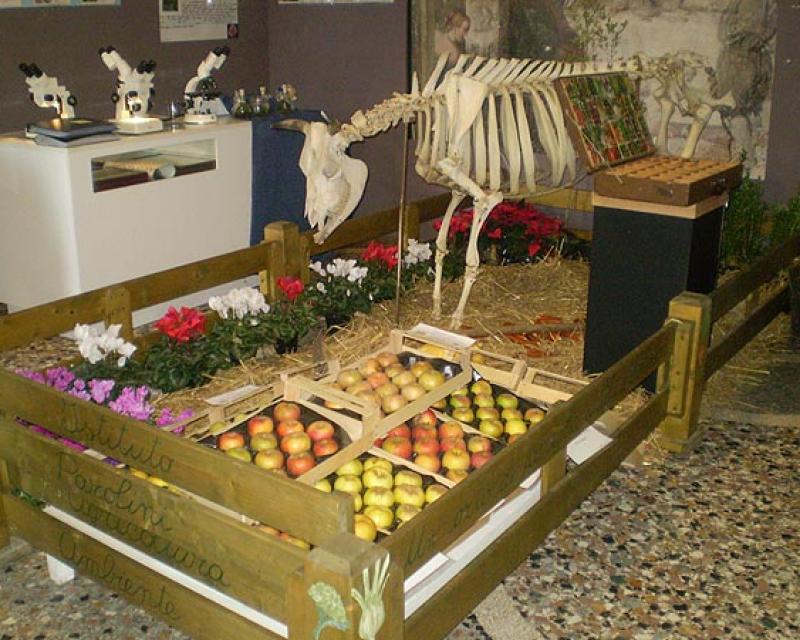 Bassanonet.it “Bassanorienta”, una settimana di incontri