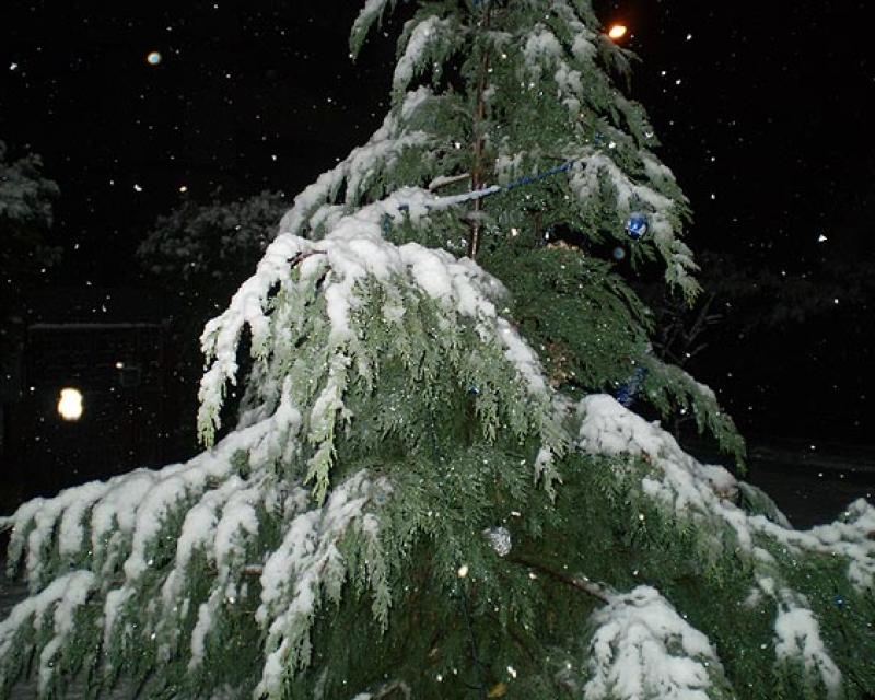 Bassanonet.it Bianco Natale