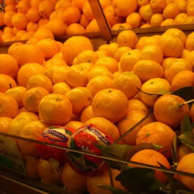 Bassanonet.it Generi alimentari: a Bassano i prezzi sono stabili