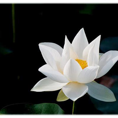 Bassanonet.it Associazione Pensieri in gioco