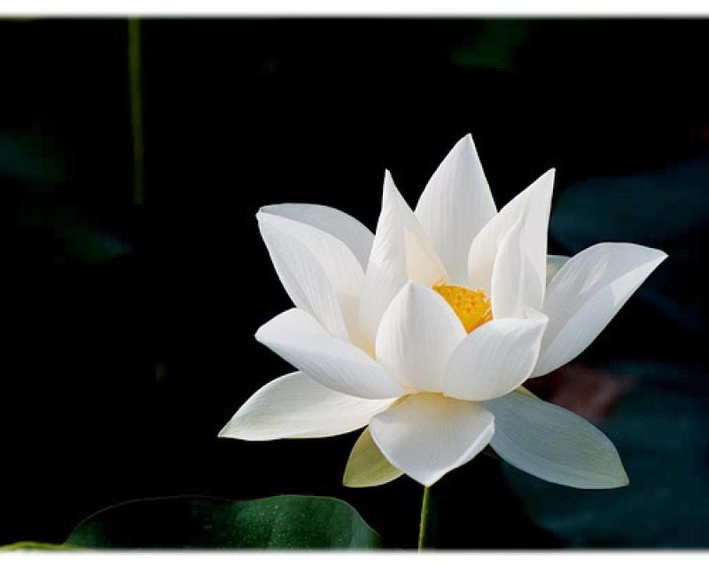 Bassanonet.it Associazione Pensieri in gioco