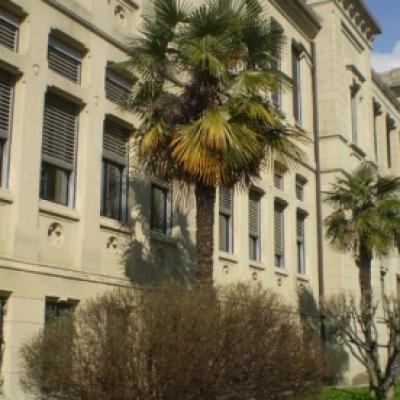 Bassanonet.it “Inaccettabile l'Ufficio Immigrati all'interno di una Scuola elementare