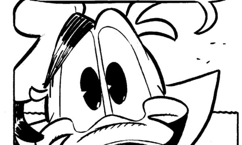 Bassanonet.it - Stefano Intini