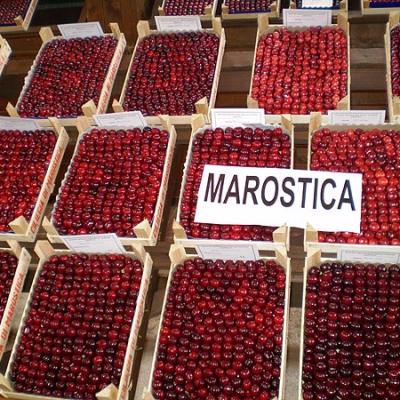 Bassanonet.it Grandine: annullata a Marostica la