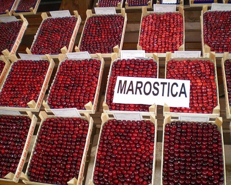 Bassanonet.it Grandine: annullata a Marostica la