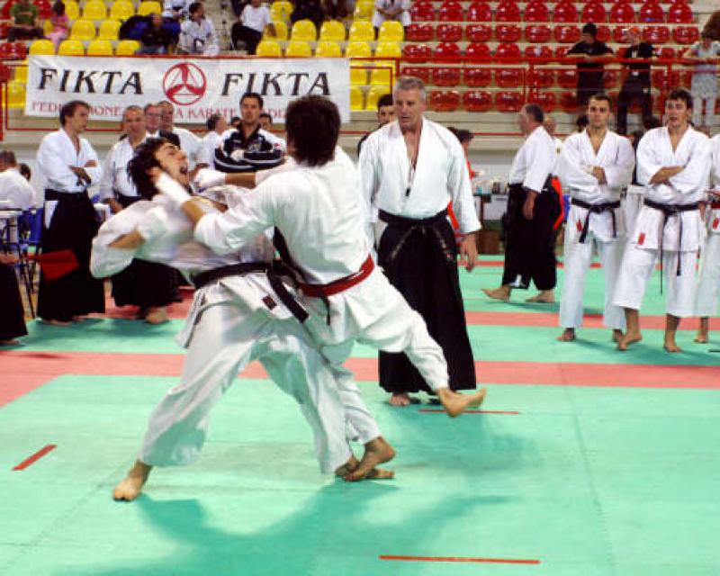 Bassanonet.it Bassano, città del Karate