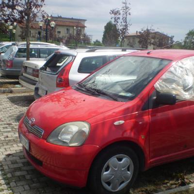 Bassanonet.it Grandinata a Bassano: come chiedere risarcimento