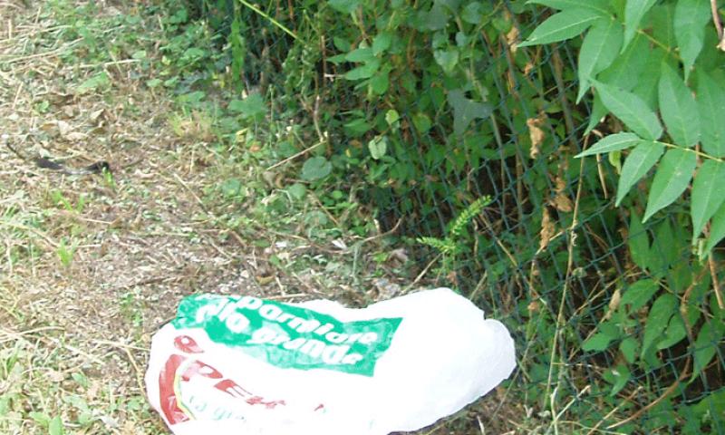 Bassanonet.it - Rifiuti in via A. Volta