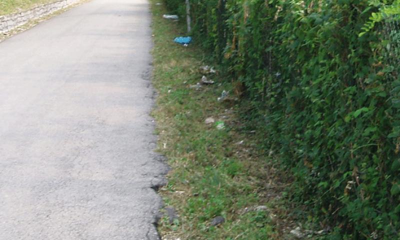 Bassanonet.it - Rifiuti in via A. Volta