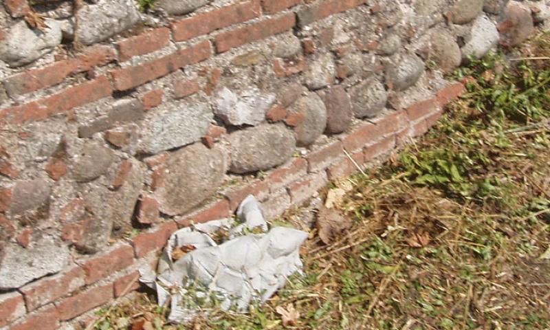 Bassanonet.it - Rifiuti in via A. Volta