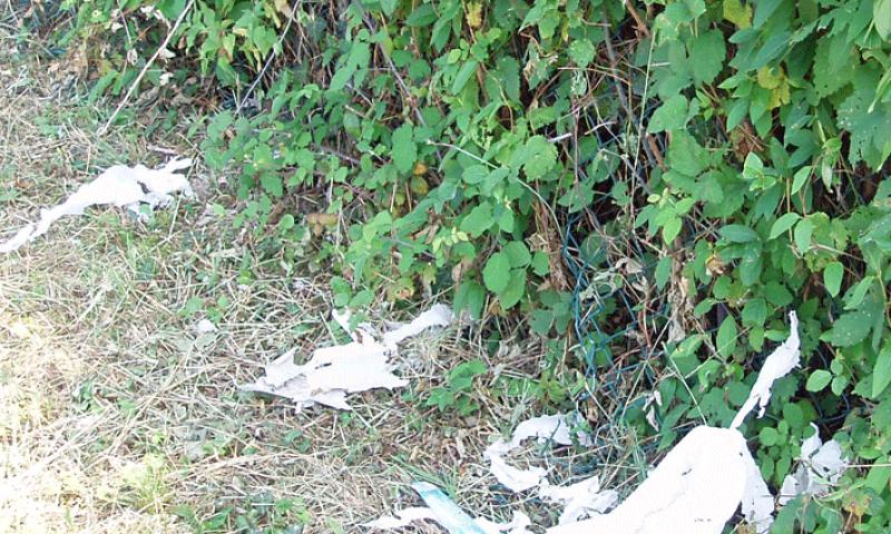 Bassanonet.it - Rifiuti in via A. Volta