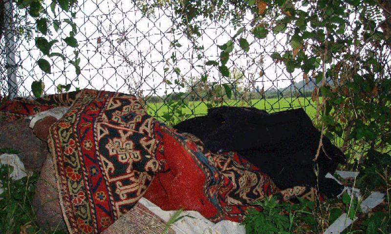 Bassanonet.it - Rifiuti in via A. Volta