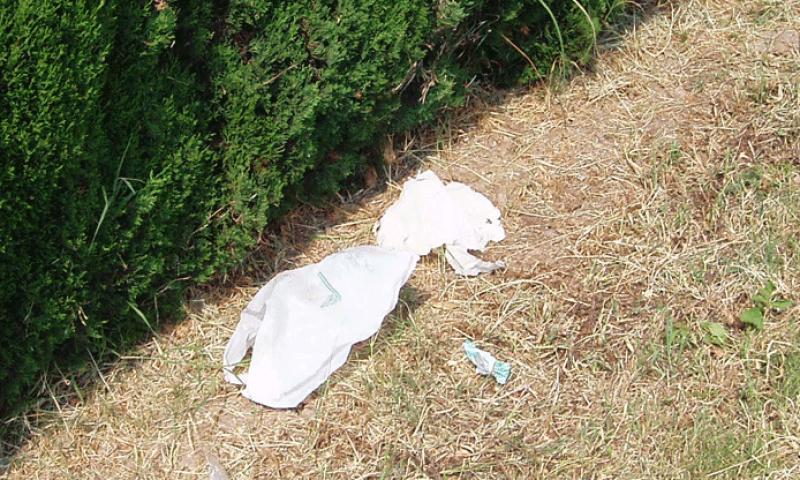 Bassanonet.it - Rifiuti in via A. Volta