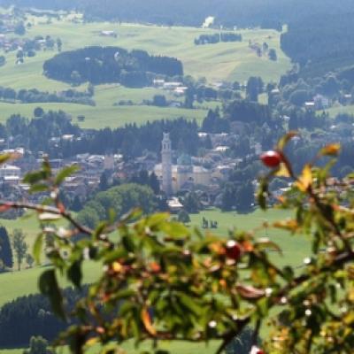 Bassanonet.it Gastroenterite sull'Altopiano, la Procura di Bassano apre un'inchiesta