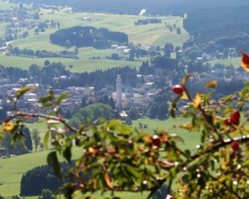 Bassanonet.it Gastroenterite sull'Altopiano, la Procura di Bassano apre un'inchiesta