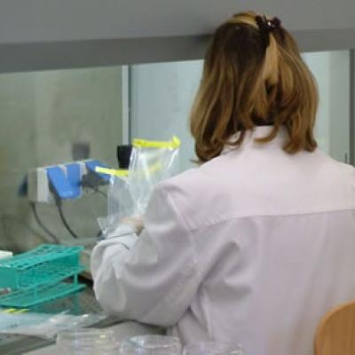 Bassanonet.it Gastroenterite sull’Altopiano di Asiago, identificati due virus