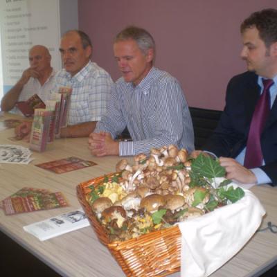 Bassanonet.it Funghi, e sai cosa mangi