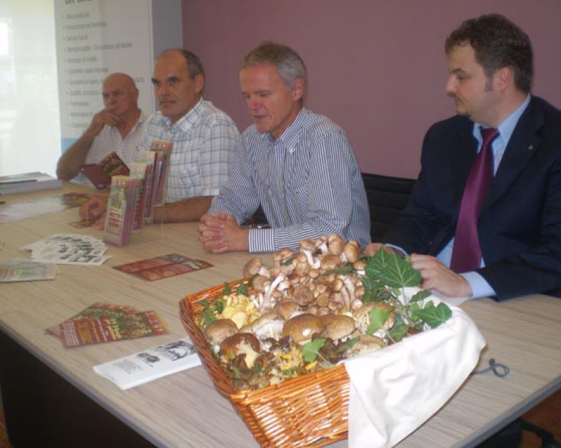 Bassanonet.it Funghi, e sai cosa mangi