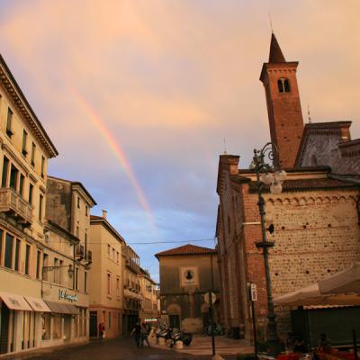 Bassanonet.it Il Museo per la città
