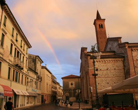 Bassanonet.it Il Museo per la città