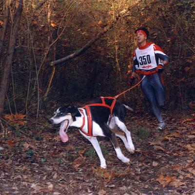 Bassanonet.it Correndo con il cane