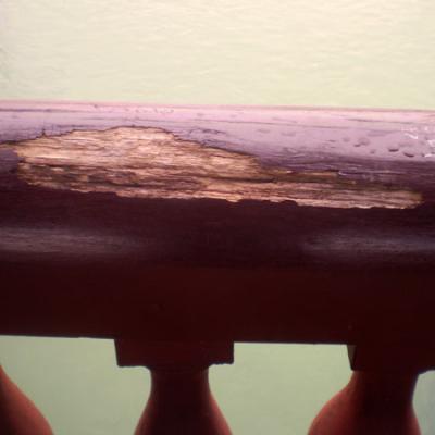 Bassanonet.it “Intagliatori di legno” sul Ponte Vecchio