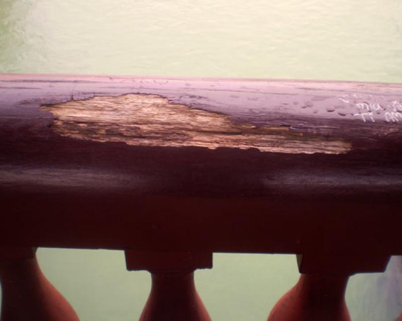 Bassanonet.it “Intagliatori di legno” sul Ponte Vecchio