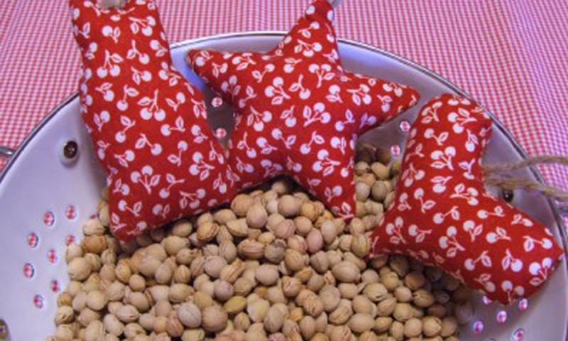 Bassanonet.it - Noccioli di ciliegia per alleviare i dolori muscolari
