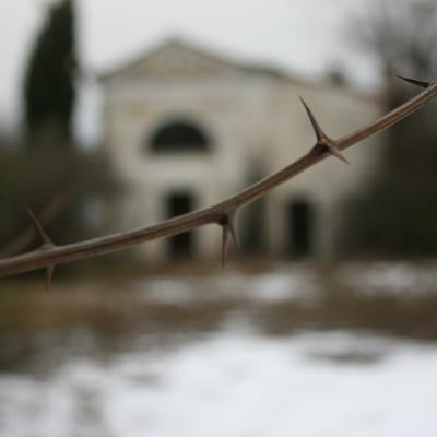 Bassanonet.it I giorni della merla e la Candelora