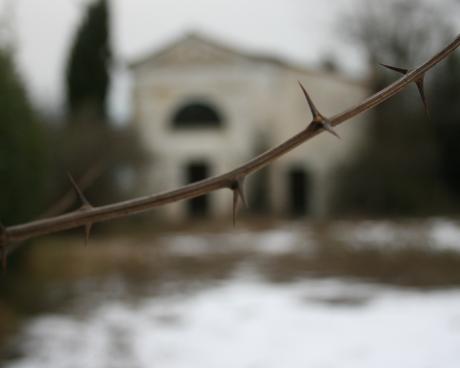 Bassanonet.it I giorni della merla e la Candelora