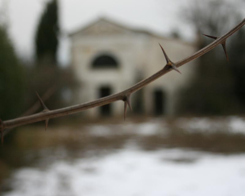 Bassanonet.it I giorni della merla e la Candelora