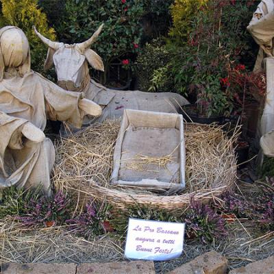 Bassanonet.it E dal presepio...sparisce Gesù Bambino