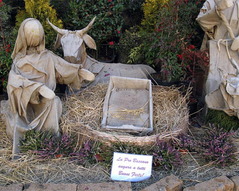 Bassanonet.it E dal presepio...sparisce Gesù Bambino
