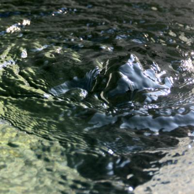 Bassanonet.it Tante gocce insieme fanno un mare