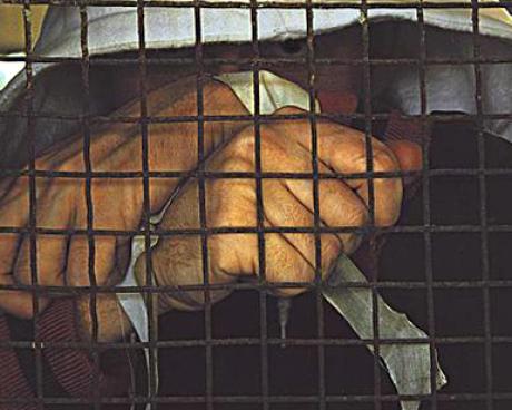 Bassanonet.it I confinandanti