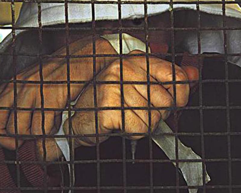 Bassanonet.it I confinandanti