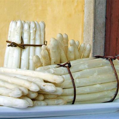 Bassanonet.it Asparagi e Dintorni
