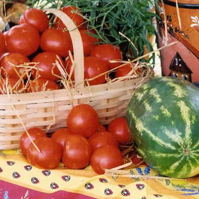 Bassanonet.it Bassano, arriva il “Farmer's Market”