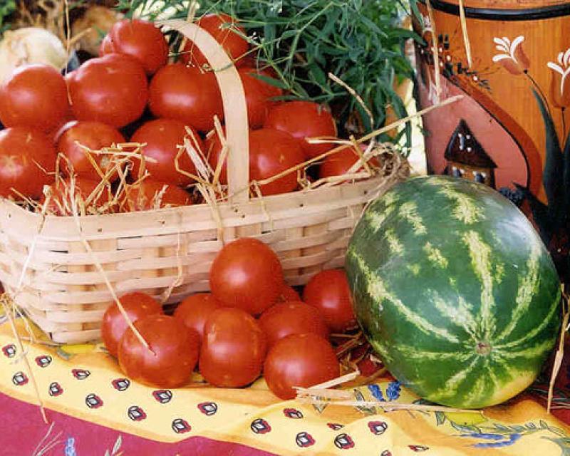 Bassanonet.it Bassano, arriva il “Farmer's Market”